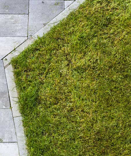 A A Green Landscaping LLC Lawn Dethatching