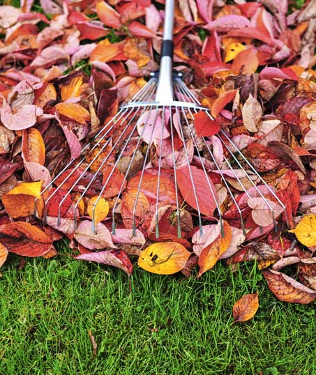 A A Green Landscaping LLC Fall Clean Up